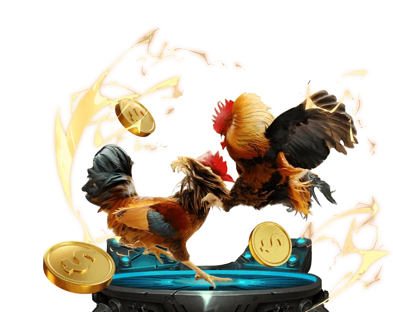 Các loại hình đá gà phổ biến tại Game Bài U888